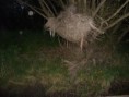 /album/noc%20nad%20wis%c5%82%c4%85/sdc12028-jpg3/