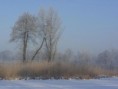 /album/zima-/sdc12736-jpg/